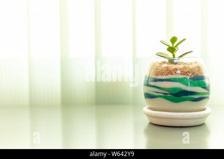 Baum im Glas auf Holz Tisch blur Vorhang Hintergrund. freier Platz für Text. Stockfoto