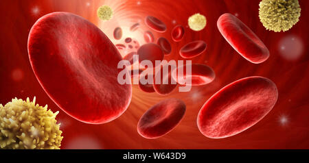Die roten und weißen Blutzellen - rote Blutkörperchen - Erythrozyten 3D-Darstellung Stockfoto