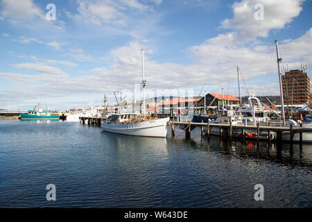 Hobart, Tasmanien, Australien: 01 April, 2019: Kommerzielle und Vergnügen Fischerboote in Hobart Marina vor Anker. Stockfoto