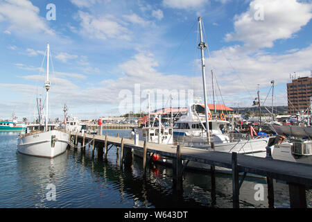 Hobart, Tasmanien, Australien: 01 April, 2019: Kommerzielle und Vergnügen Fischerboote in Hobart Marina vor Anker. Stockfoto