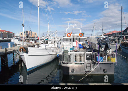 Hobart, Tasmanien, Australien: 01 April, 2019: Kommerzielle und Vergnügen Fischerboote in Hobart Marina vor Anker. Stockfoto