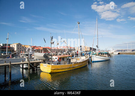 Hobart, Tasmanien, Australien: 01 April, 2019: Kommerzielle und Vergnügen Fischerboote in Hobart Marina vor Anker. Stockfoto