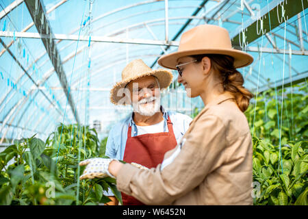 Junge Frau mit Großvater kümmert sich um Pfeffer Plantage im Treibhaus der einen kleinen landwirtschaftlichen Betrieb. Konzept einer kleinen Familie Agribusiness Stockfoto