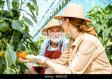 Glückliche junge Frau mit Senior Großvater ernten Paprika auf einem kleinen landwirtschaftlichen Betrieb im Gewächshaus. Konzept einer kleinen Familie agribusines Stockfoto