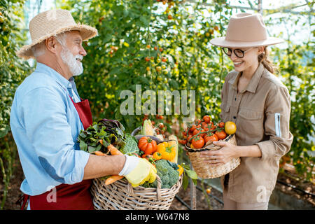 Gandfather mit junge Frau mit Körben voller frischem Gemüse Ernte im Gewächshaus eines kleinen landwirtschaftlichen Betrieb Stockfoto