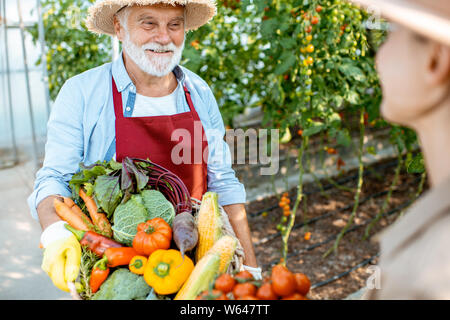 Gandfather mit junge Frau mit Körben voller frischem Gemüse Ernte im Gewächshaus eines kleinen landwirtschaftlichen Betrieb Stockfoto