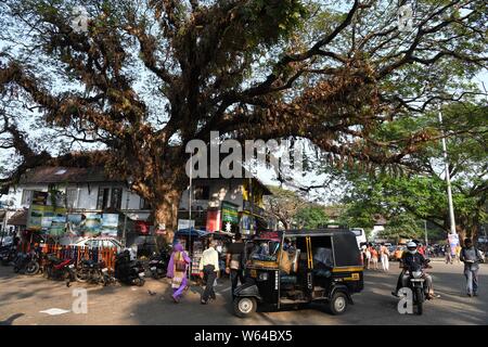 Viel befahrenen Straße Szene in Fort Kochi (Cochin), Kerala, Indien Stockfoto