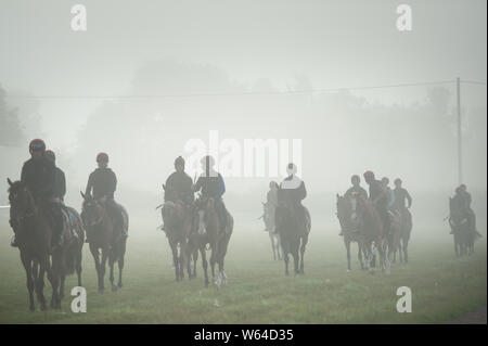 Beckhampton Stallungen, in der Nähe von Marlborough, Wiltshire, UK. 29. Juli 2019. Nebel und eine trübe Sonne Grüße am frühen Morgen Training für Reiter und Rennen Stockfoto