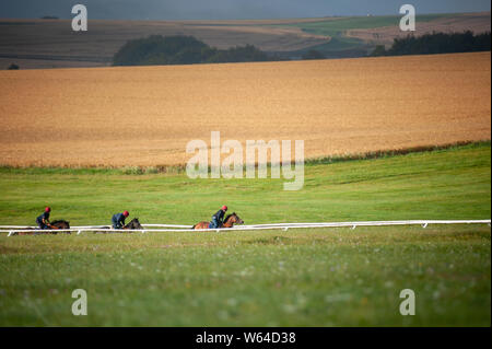 Beckhampton Stallungen, in der Nähe von Marlborough, Wiltshire, UK. 29. Juli 2019. Nebel und eine trübe Sonne Grüße am frühen Morgen Training für Reiter und Rennen Stockfoto