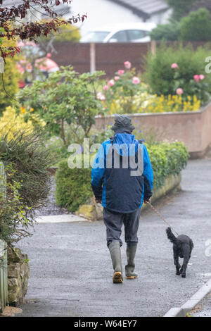 Flintshire, Nord Wales, Großbritannien, 31. Juli 2019. UK Wetter: kühlere Temperaturen als zu spät und schwere Regenfälle für viele Teile des Vereinigten Königreichs mit einem Met Office Wetter Warnung oder Regen. Ein Hund Walker im Dorf Lixwm trotzen dem Regen in der Gegend und gekleidet für einen Wintertag, Flintshire, Wales © DGDImages/AlamyLiveNews Stockfoto