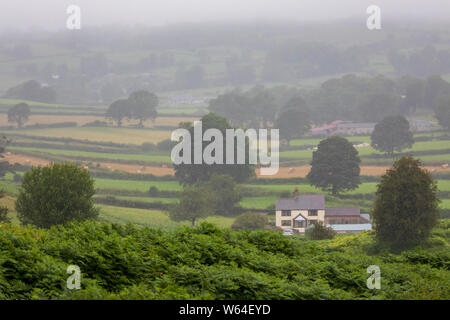 Flintshire, Nord Wales, Großbritannien, 31. Juli 2019. UK Wetter: kühlere Temperaturen als zu spät und schwere Regenfälle für viele Teile des Vereinigten Königreichs mit einem Met Office Wetter Warnung oder Regen. Heavy Rain sättigen landwirtschaftliche Flächen im Dorf Rhes-y-Cae in ländlichen Flintshire, Wales © DGDImages/AlamyLiveNews Stockfoto