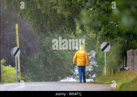 Flintshire, Nord Wales, Großbritannien, 31. Juli 2019. UK Wetter: kühlere Temperaturen als zu spät und schwere Regenfälle für viele Teile des Vereinigten Königreichs mit einem Met Office Wetter Warnung oder Regen. Ein Hund Walker trotzen den Elementen und starken Regen im Dorf Rhes-y-Cae in ländlichen Flintshire, Wales © DGDImages/AlamyLiveNews Stockfoto