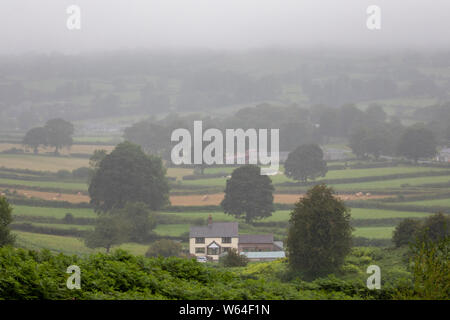 Flintshire, Nord Wales, Großbritannien, 31. Juli 2019. UK Wetter: kühlere Temperaturen als zu spät und schwere Regenfälle für viele Teile des Vereinigten Königreichs mit einem Met Office Wetter Warnung oder Regen. Heavy Rain sättigen landwirtschaftliche Flächen im Dorf Rhes-y-Cae in ländlichen Flintshire, Wales © DGDImages/AlamyLiveNews Stockfoto