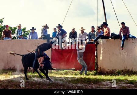 Mexiko; Puebla Staat; Mexikanische Stier reiten in Jonotla Dorf Stockfoto