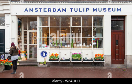 Amsterdam, Niederlande, 25. Februar 2017: Mädchen steht in der Nähe der Fassade des Amsterdamer Tulip Museum, touristische Shop mit bauchigen Blumen und Pflanzen Stockfoto