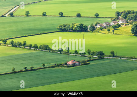 Grüne schottischen Felder und Bäume von oben North Berwick Gesetz. North Berwick. East Lothian. Schottland, Vereinigtes Königreich. Luftaufnahmen. Stockfoto