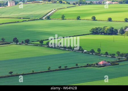 Blick auf grüne schottischen Felder mit Weizen und Gerste von oben North Berwick Gesetz. North Berwick. East Lothian. Schottland, Vereinigtes Königreich. Luftbild Stockfoto