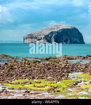 Blick auf Bass Rock Island und den Leuchtturm. Bass Rock hat die weltweit größte Kolonie der Basstölpel. North Berwick. East Lothian. Nordsee. Schottland Stockfoto