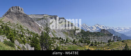 Panoramablick auf die schweizer Alpenberge Loucherhorn und üppige Vegetation im Sommer mit Schneebergen im Hintergrund Eiger, Moench und Jungfrau. Stockfoto