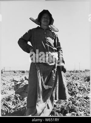 Edison, Kern County, Kalifornien. Kartoffel Picker, sie ist 52 Jahre alt, hat 8 Kinder. In Tenness geboren. . .; Umfang und Inhalt: Die Bildunterschrift lautet wie folgt: Edison, Kern County, Kalifornien. Kartoffel Picker, sie ist 52 Jahre alt, hat 8 Kinder. In Tennessee geboren, lebte sie und wurde in Oklahoma verheiratet, dann kam nach Kalifornien. Familie wurde wandernde Landarbeiter, und nach vier Jahren in Kern County nieder, sagt sie, ich habe ein Haus und Blumen. Sie und ihr Ehemann arbeiten im Bereich bei 35 Cent pro Stunde, 10 Stunden am Tag. Diese Klasse von Menschen ist bis in die Gegenwart Wanderarbeiter als Loca bekannt Stockfoto