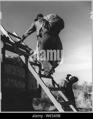 Eloy Bezirk, Pinal County, Arizona. Bei der Baumwolle Wagen; Umfang und Inhalt: Die Bildunterschrift lautet wie folgt: Eloy Bezirk, Pinal County, Arizona. Bei der Baumwolle wagen. Stockfoto