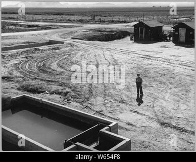 Eloy Bezirk, Pinal County, Arizona. Eingang zu Baumwolle Camp.; Umfang und Inhalt: Die Bildunterschrift lautet wie folgt: Eloy Bezirk, Pinal County, Arizona. Eingang zu Baumwolle Camp. Stockfoto