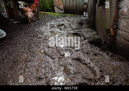 Footprints in tiefem Schlamm in einem ländlichen Hof und Hahn Stockfoto