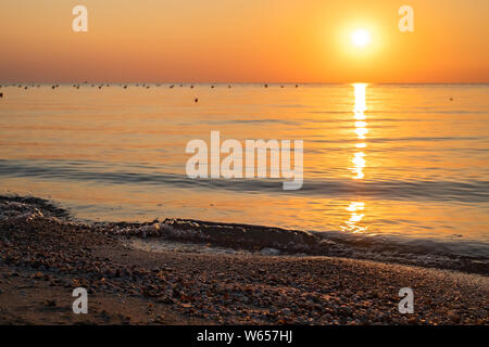 Muscheln am Strand vor dem Hintergrund einer bunten Dawn. focus Control Stockfoto