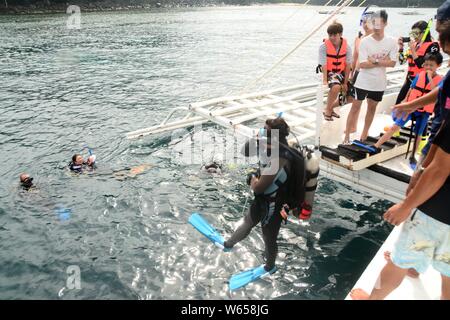 ------ Chinesische Touristen genießen Tauchen in der Apo Island, Dumaguete, die Philippinen, 30. Januar 2017. Philippinisches Tourismus Sekretär Bernt Stockfoto