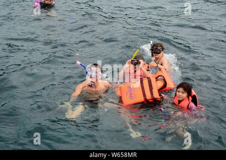 ------ Chinesische Touristen genießen Tauchen in der Apo Island, Dumaguete, die Philippinen, 30. Januar 2017. Philippinisches Tourismus Sekretär Bernt Stockfoto