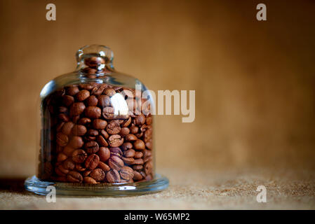 Kaffeebohnen unter der Glaskuppel. Kopieren Sie Platz. Stockfoto