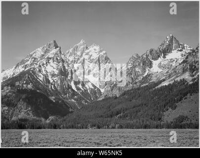 Grasbewachsene Senke, Baum Berg Seite und schneebedeckten Gipfeln, Grand Teton National Park, Wyoming., 1933 - 1942 Stockfoto