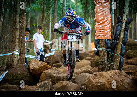 PIETERMARITZBURG, SÜDAFRIKA - 10. APRIL 2014. Aaron Gwin (USA) Racing für spezialisierte Racing Team an der UCI Mountainbike Downhill World Cup. Diese Stockfoto