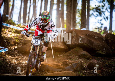 PIETERMARITZBURG, SÜDAFRIKA - 10. APRIL 2014. Steve Peat (GBR) Racing für die Santa Cruz Syndicate Team an der UCI World Cup Mountain Bike Downhill Stockfoto