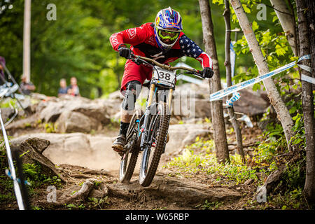 AUGUST 11, 2013 - Mont Sainte Anne, Kanada. Aaron Gwin (USA) an der UCI Mountainbike World Cup. Stockfoto