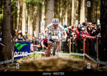 Mai 26, 2013 - Nové Město na Moravě, TSCHECHISCHE REPUBLIK. Nino Schurter an der UCI Mountainbike Cross Country World Cup. Stockfoto