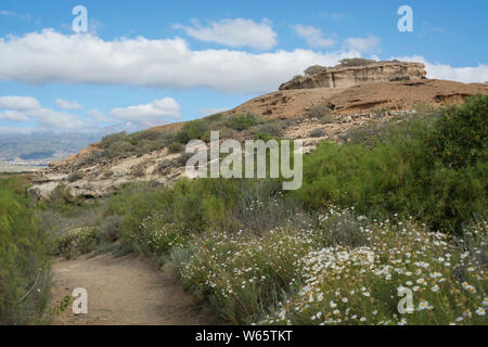 Wanderweg, El Medano, Teneriffa, Kanarische Inseln, Spanien, Europäische Union Stockfoto