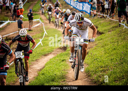 AUGUST 3, 2014 - Mont Sainte Anne, Kanada. Nino Schurter an der UCI Mountainbike Cross Country World Cup. Stockfoto