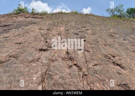 ---- Blick auf versteinerte Fußabdrücke von Dinosauriern links von einer Gruppe langhalsiger und Pflanzen fressende ECHSE - Fuß Dinosaurier, die 190 Millionen Jahre Stockfoto