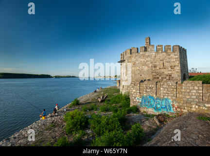 Smederevo Festung, eine der größten Befestigungsanlagen in Serbien Stockfoto