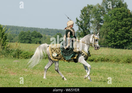 Reiterin in historischer Kleidung, auf White Arabian Horse Hengst Stockfoto