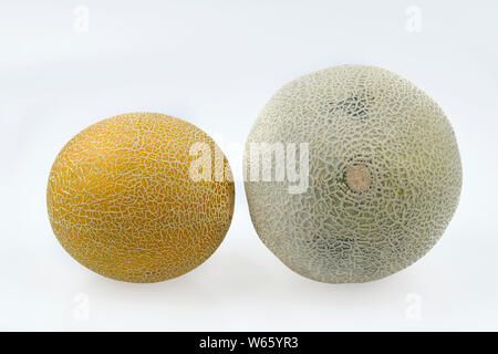 Galia Melone, Melone, Cucumis melo var. cantalupensis, Cucumis Melo Stockfoto