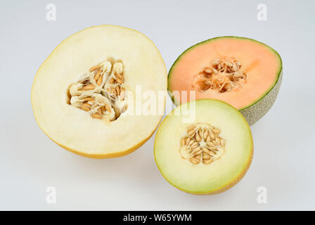 Zucker Melone, Melone, Galia Melone, Melone, Cucumis melo var. cantalupensis Stockfoto