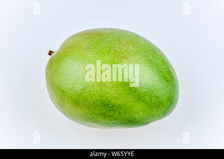 Grüne Mango, Mangifera indica Stockfoto