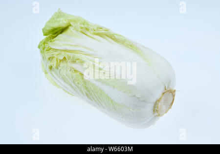 Napa Kohl, Brassica rapa Pekinensis Stockfoto