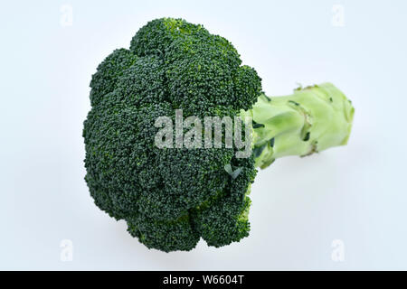 Brokkoli, Brassica oleracea var. Italica Stockfoto