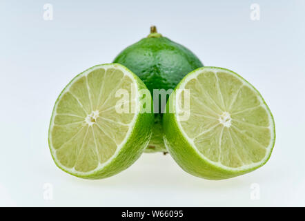 Key Lime, Citrus aurantifolia Stockfoto