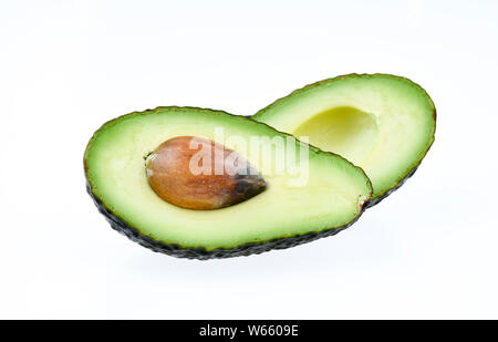 Hass Avocado, Persea americana Stockfoto