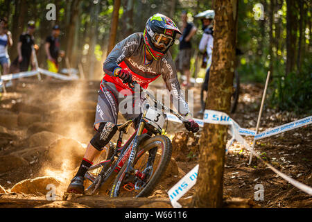 APRIL 10, 2014 - Pietermaritzburg, Südafrika. Greg Minnaar Racing an der UCI Mountainbike Downhill World Cup. Stockfoto