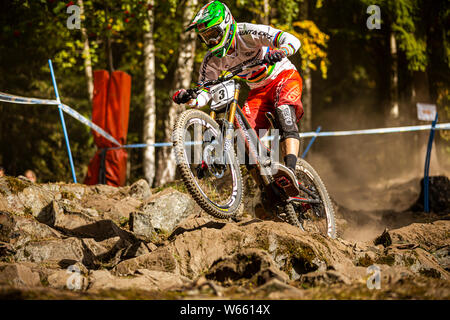 SEPTEMBER 13, 2013 - HAFJELL, Norwegen. Greg Minnaar Racing an der UCI Mountainbike Downhill World Cup Stockfoto